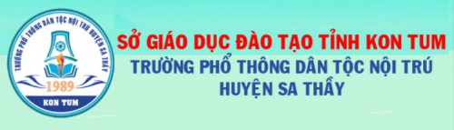 KẾ HOẠCH CHUYÊN MÔN HÀNG TUẦN, NĂM HỌC 2024-2025